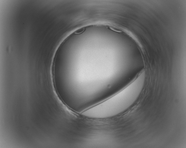 X0000073700959200608031011
