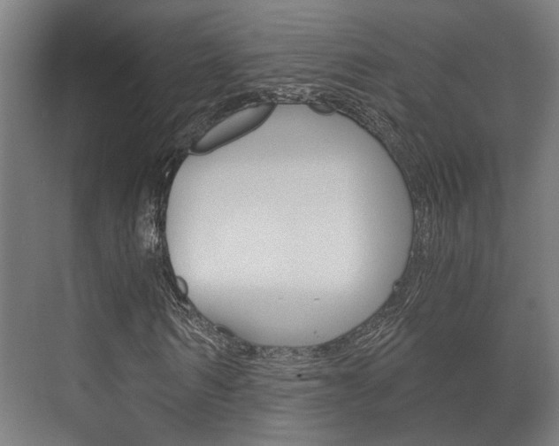 X0000073700962200608031010