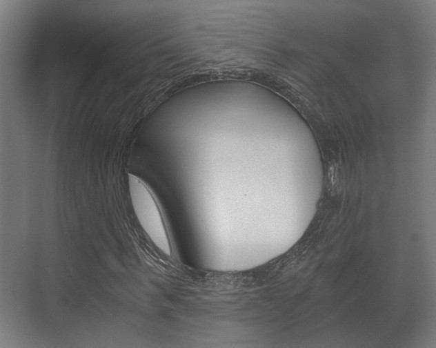 X0000073700963200608031010