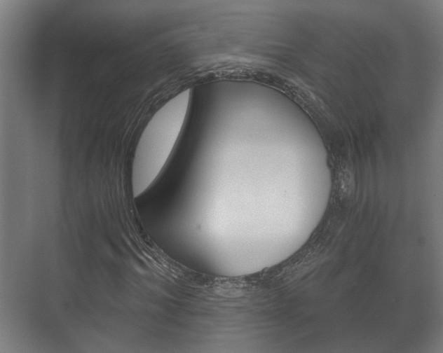 X0000073700964200608031010