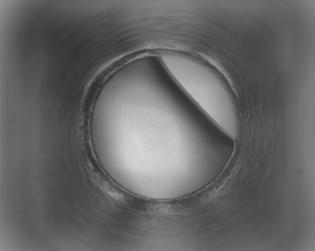 X0000073700971200608031010