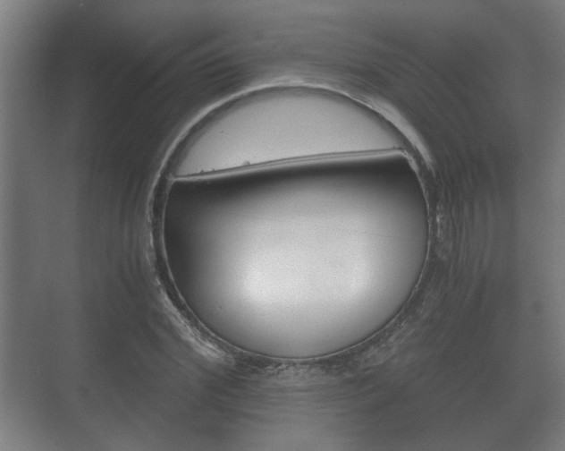 X0000073700972200608031010