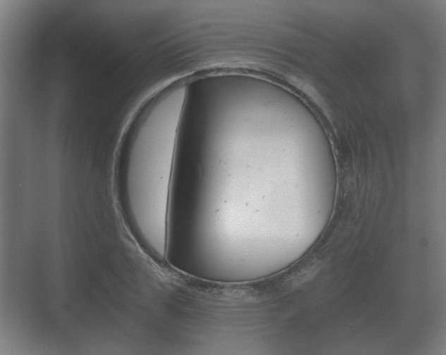 X0000073700979200608031010