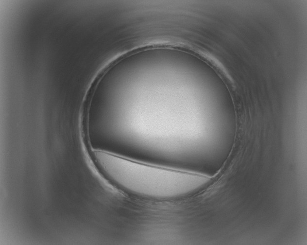 X0000073700991200608031010