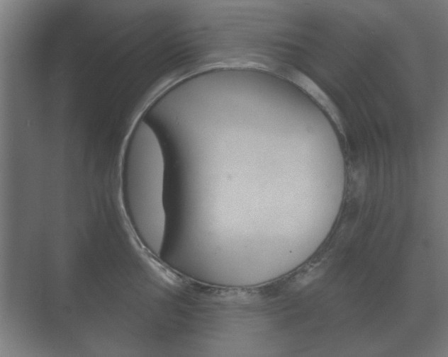 X0000073701002200608031010