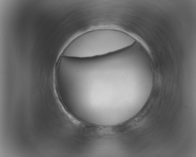 X0000073701006200608031010