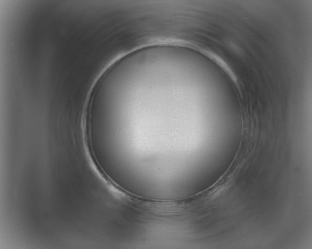X0000073701007200608031010