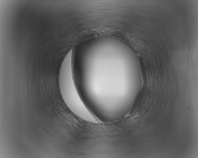 X0000073701010200608031009
