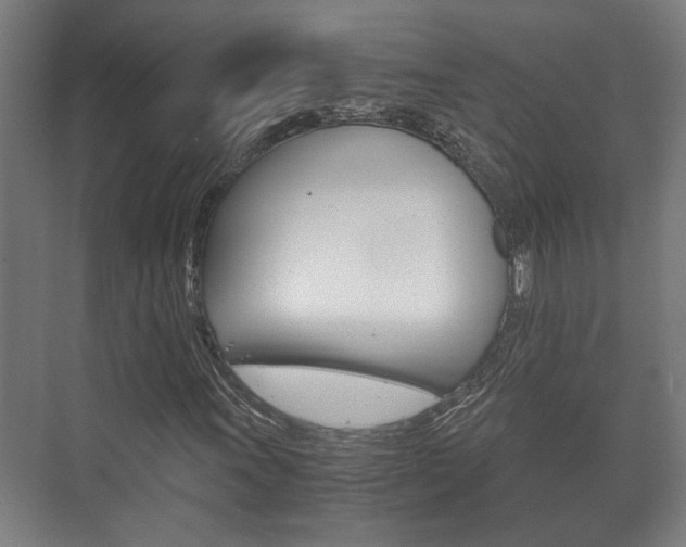 X0000073701011200608031009