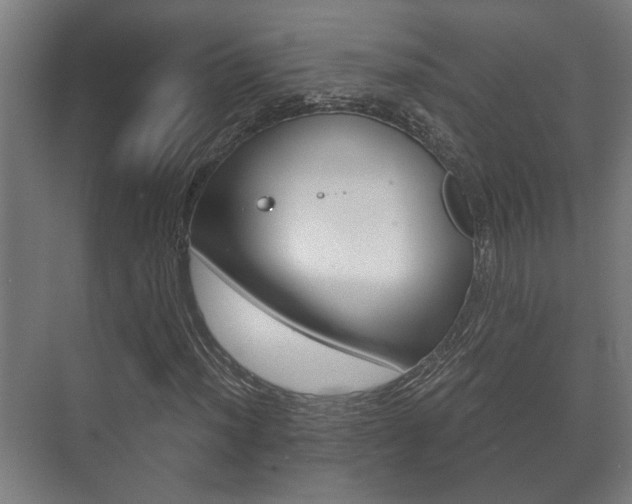 X0000073701012200608031009