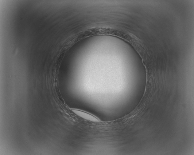 X0000073701014200608031009