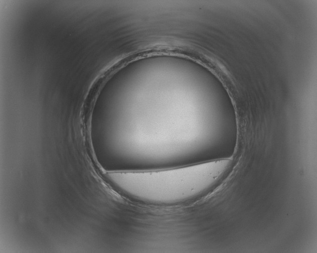 X0000073701018200608031009