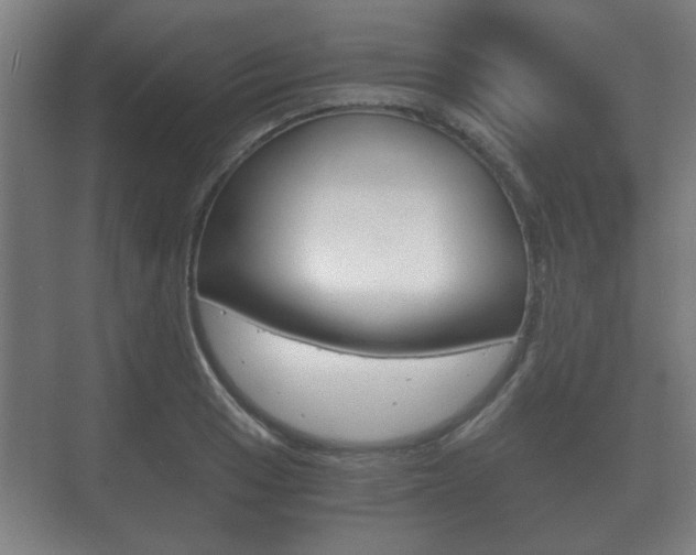 X0000073701033200608031009
