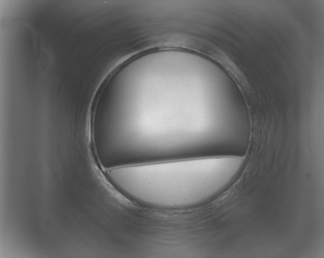 X0000073701036200608031009