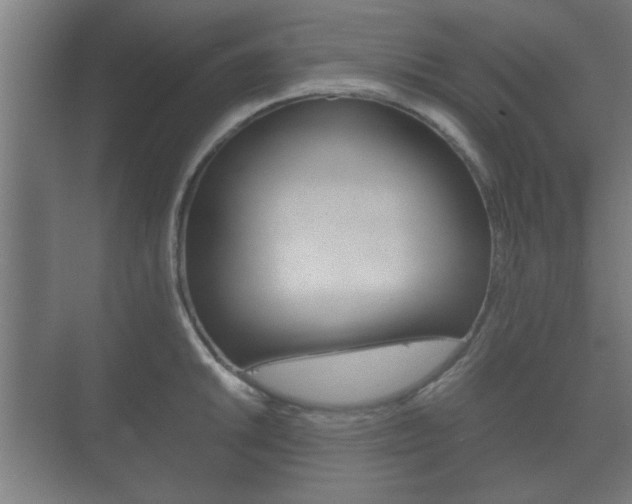 X0000073701046200608031009