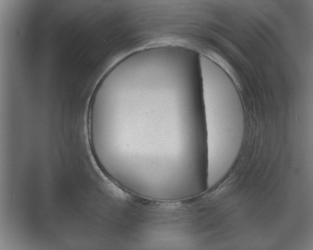 X0000073701055200608031010
