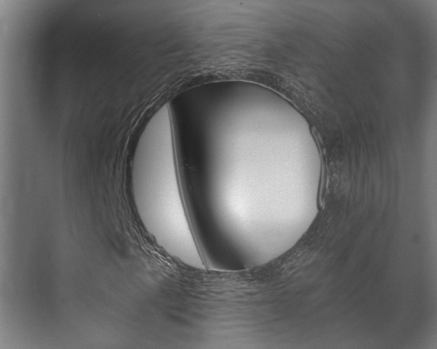 X0000073701057200608031009