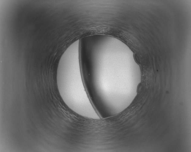 X0000073701058200608031009