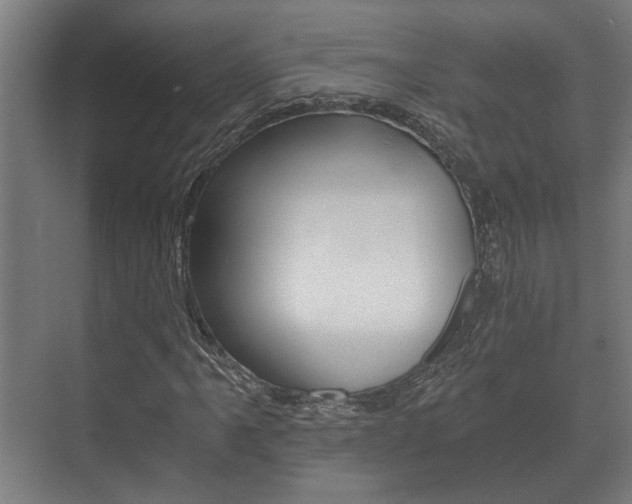 X0000073701061200608031009