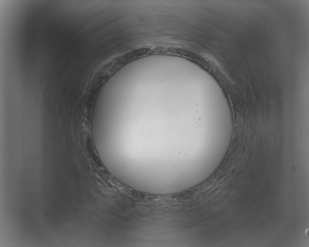 X0000073701063200608031009