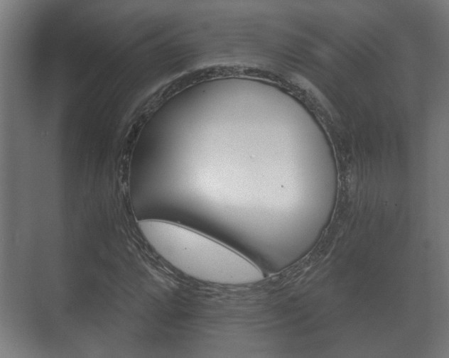 X0000073701064200608031009