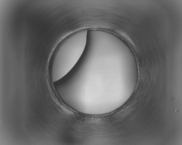 X0000073701071200608031008
