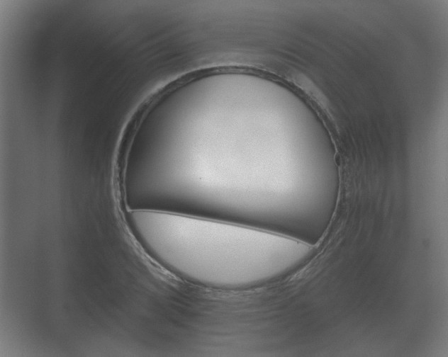 X0000073701072200608031008