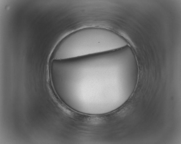 X0000073701079200608031008