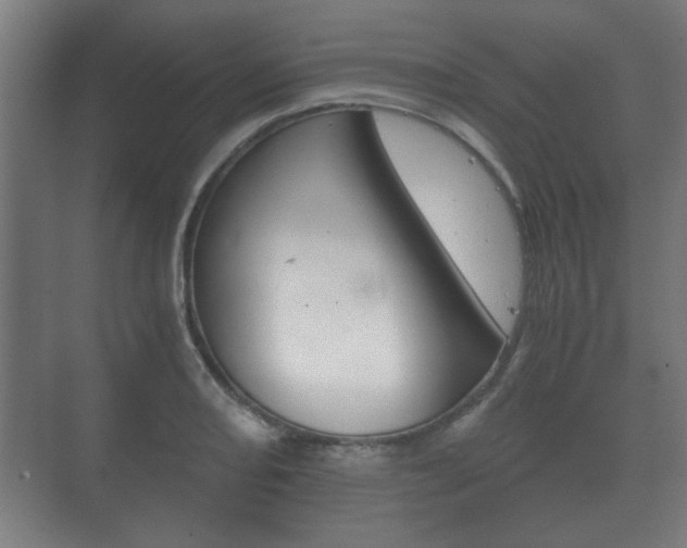 X0000073701082200608031008
