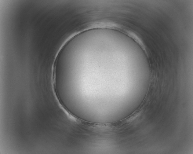 X0000073701103200608031008