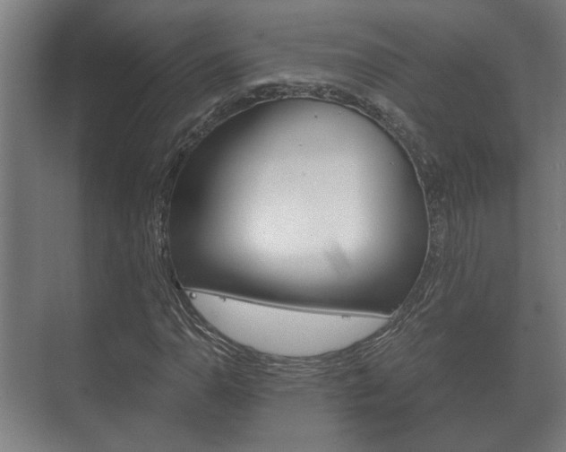 X0000073701110200608031007