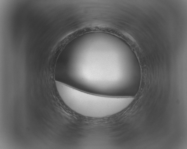 X0000073701112200608031007