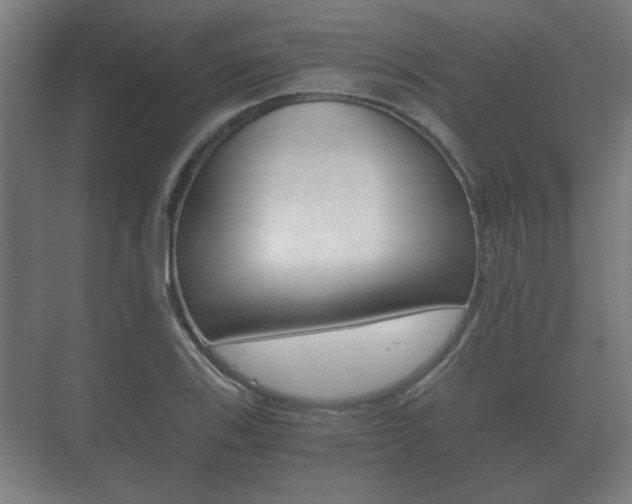 X0000073701123200608031007