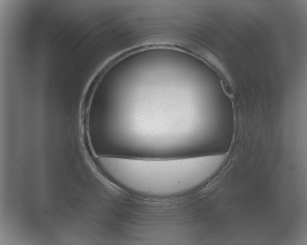 X0000073701124200608031007