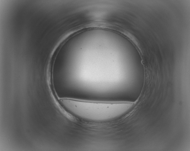 X0000073701131200608031008