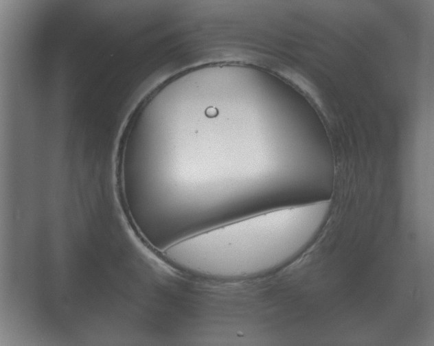 X0000073701135200608031008