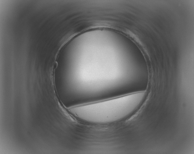 X0000073701137200608031008