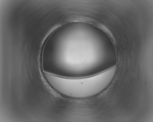 X0000073701138200608031008