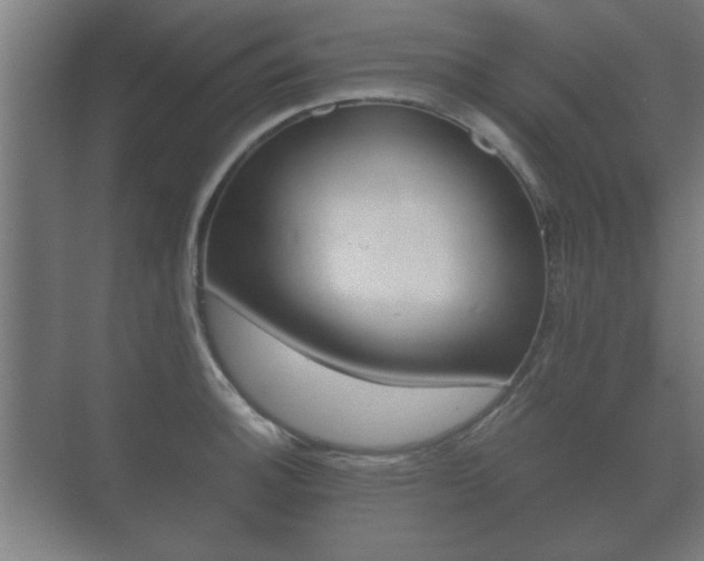 X0000073701140200608031008