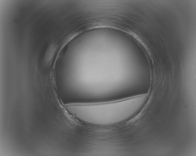 X0000073701145200608031008