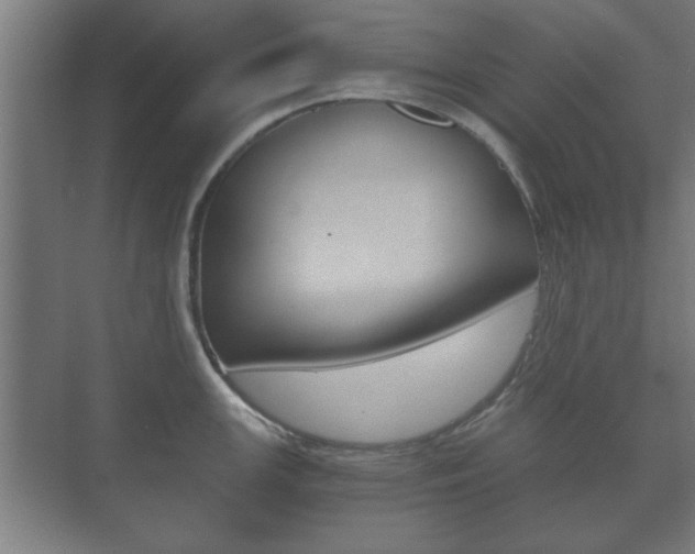 X0000073701147200608031008