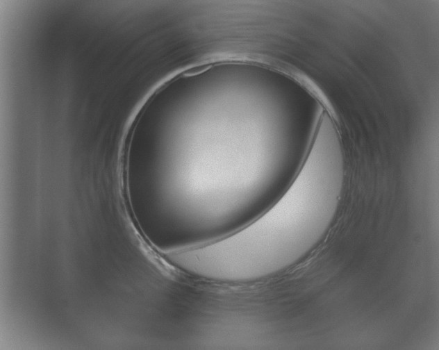 X0000073701148200608031008