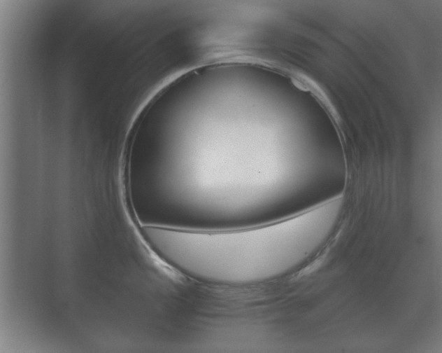 X0000073701149200608031008