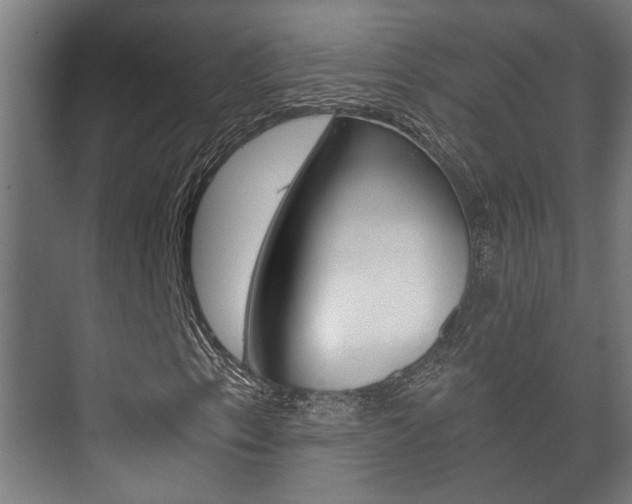 X0000073701153200608031007