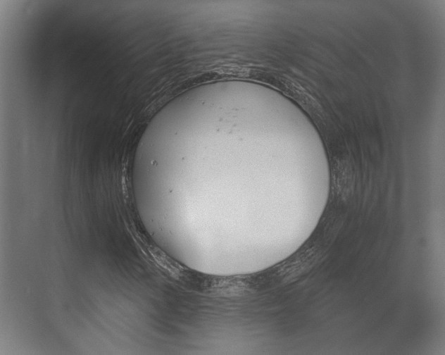 X0000073701154200608031007