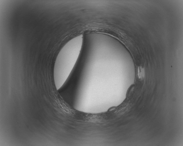 X0000073701155200608031007