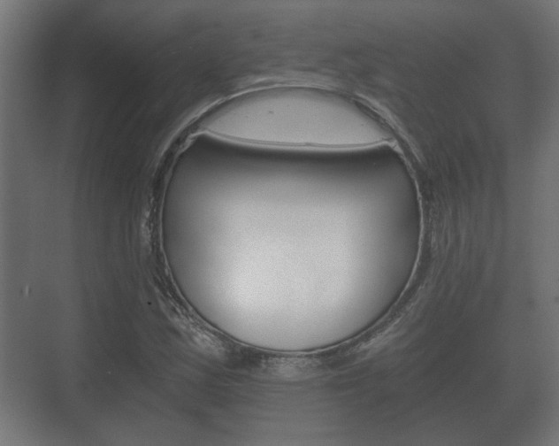 X0000073701163200608031007