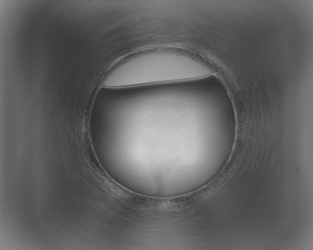 X0000073701169200608031007