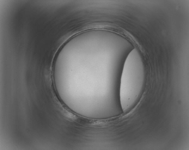 X0000073701178200608031007