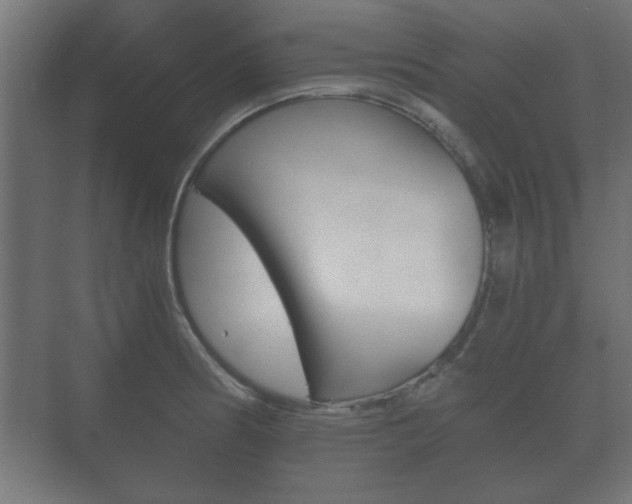 X0000073701186200608031007
